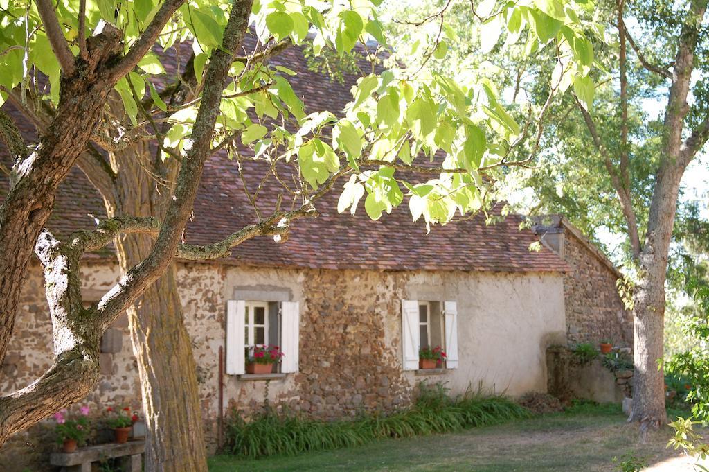 Le Mas D'En Haut Lussat Room photo